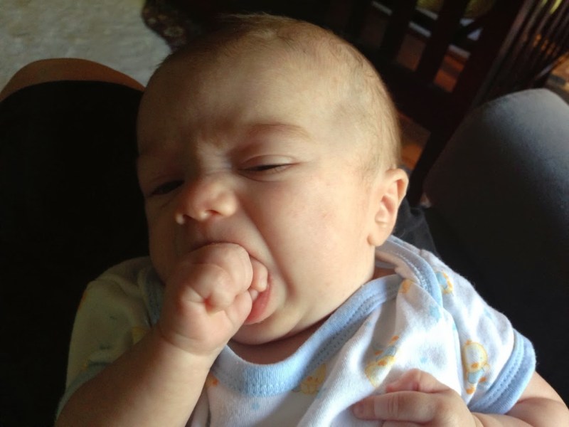 Finn enjoying some hand for breakfast.