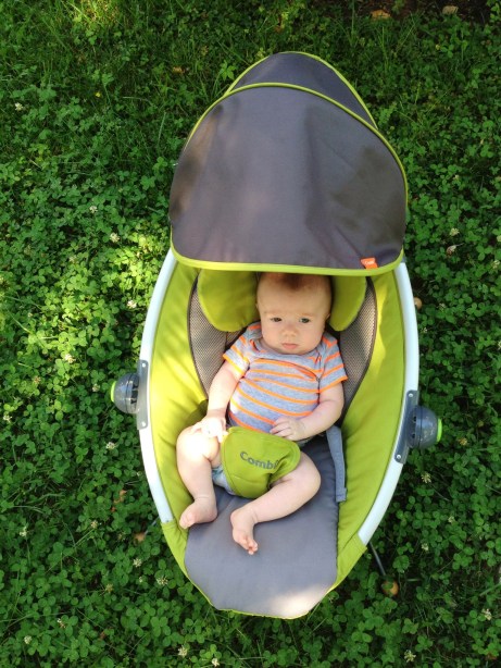 Chillin while mom works in the yard.